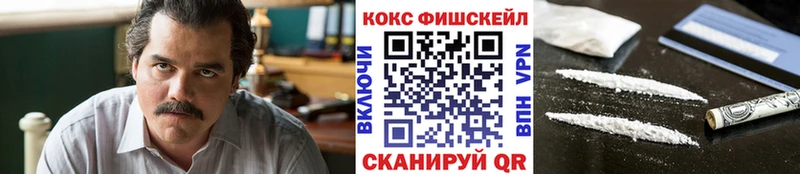COCAIN FishScale  Купить где  Городец 