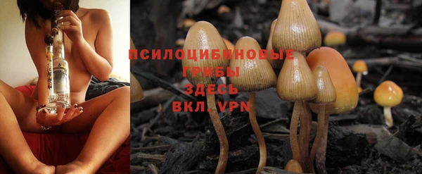 крисы Нязепетровск
