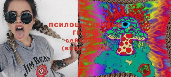 спайс Няндома