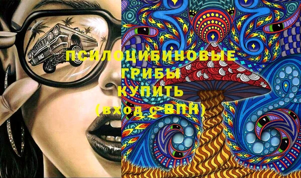 спайс Няндома