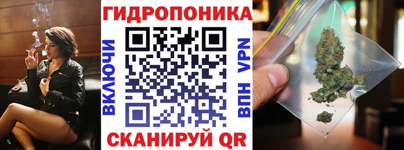 Шишки марихуана OG Kush  Купить где  Городец 